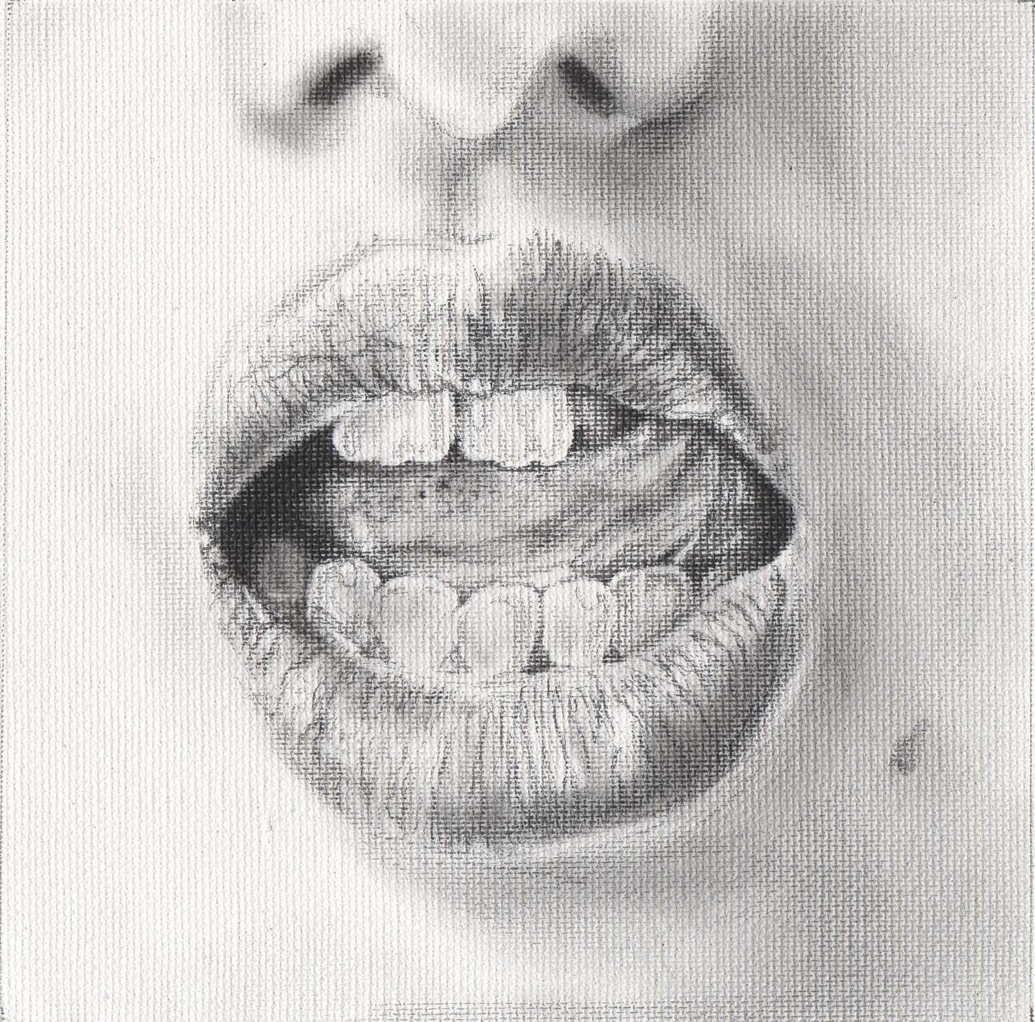 Talk to me N.003 Veronica Colanero