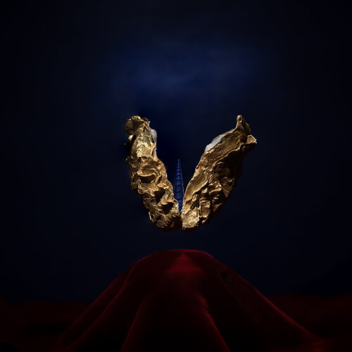 Unicorn von John Kostermans, Fotografie kaufen auf Singulart