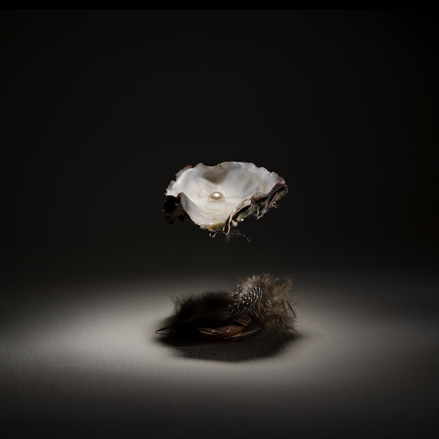 Beyond Gravity John Kostermans
