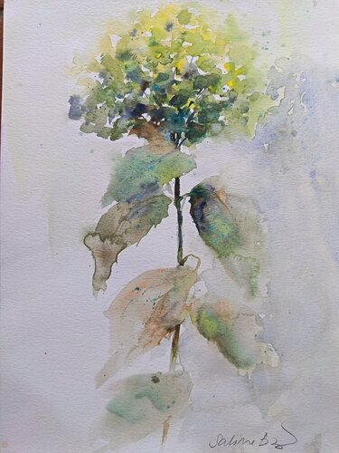 Ortensia Annabelle de Sabine Blomqvist, Obra en papel a la venta en Singulart