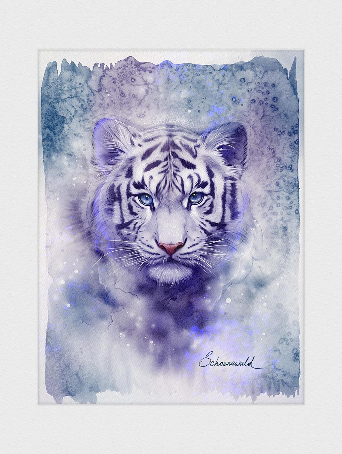 ANIMA GRAPHICA – Tiger Tatiana Schönewald