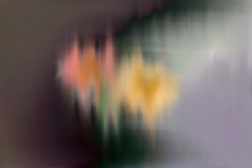 Flower Essence 1 Renate Hoefer