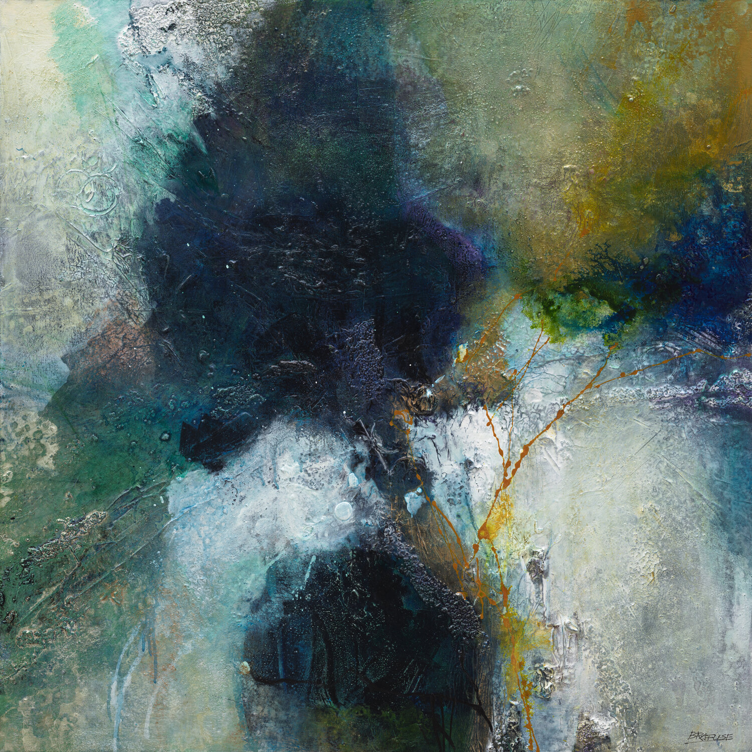 The Tide Pool Barry Rafuse