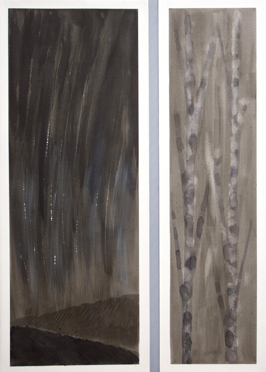 Cielo e rami Gabriele Casale