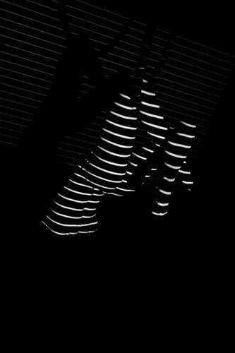 scatto_unico_211 by Lisi Mario, Photography for Sale on Singulart