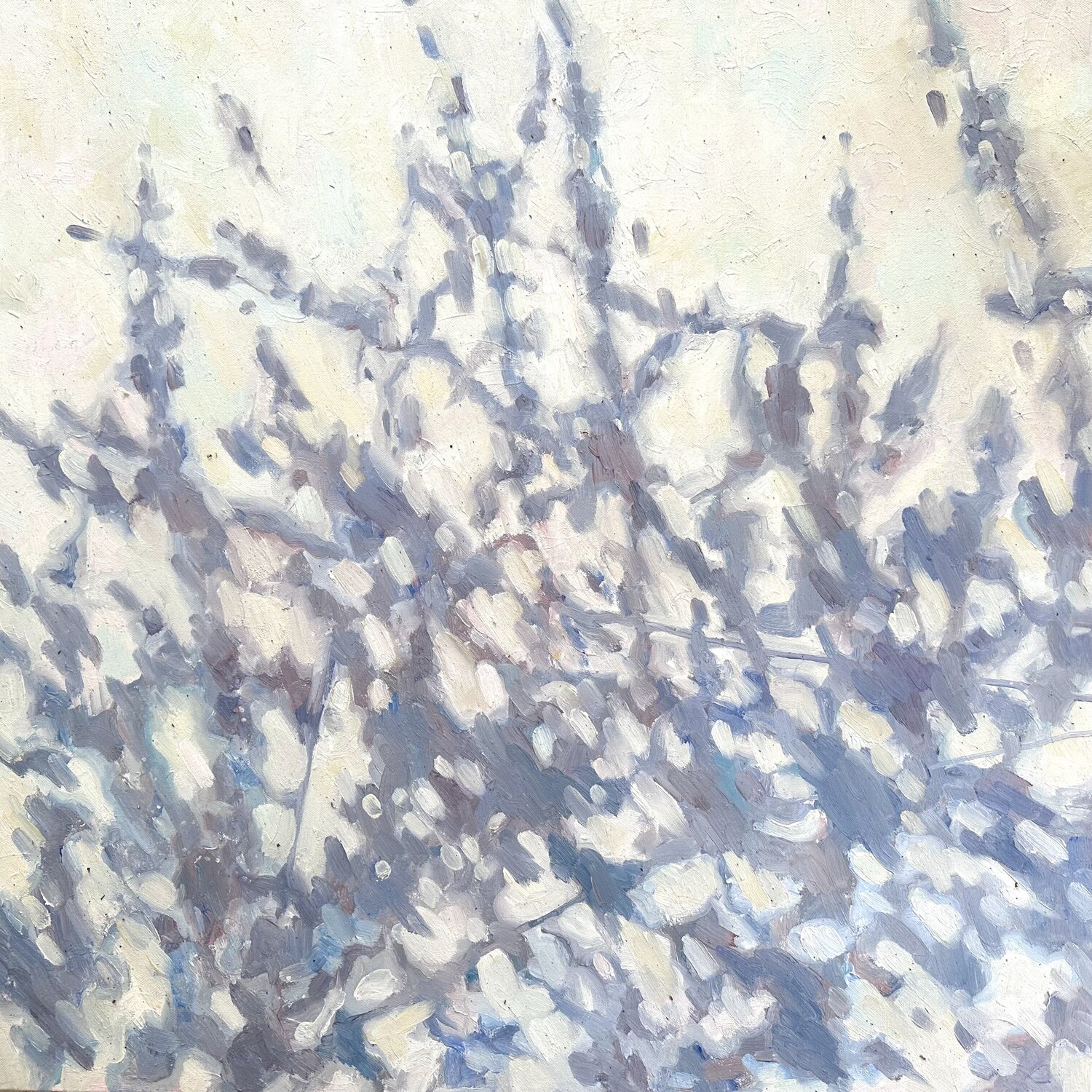 Shadow 12 Nataliya Lemesheva