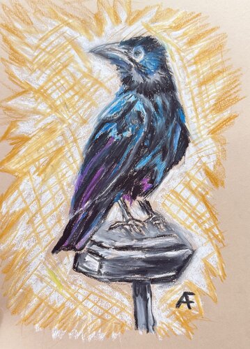 Raven 2 von Alison Forsberg, Werk auf Papier kaufen auf Singulart