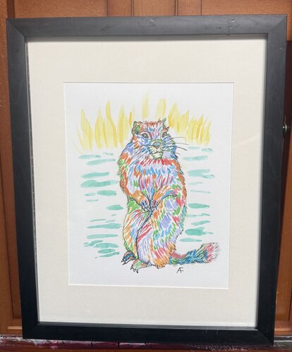 Variegated Groundhog von Alison Forsberg, Werk auf Papier kaufen auf Singulart