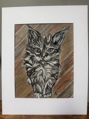 Charcoal Kitten by Alison Forsberg, Drawing for Sale on Singulart