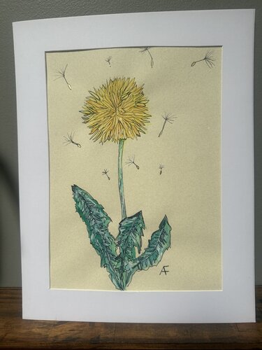 Dandelion by Alison Forsberg, Work on Paper for Sale on Singulart