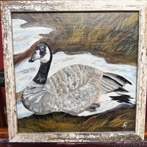 Canada Goose de Alison Forsberg, Pintura a la venta en Singulart