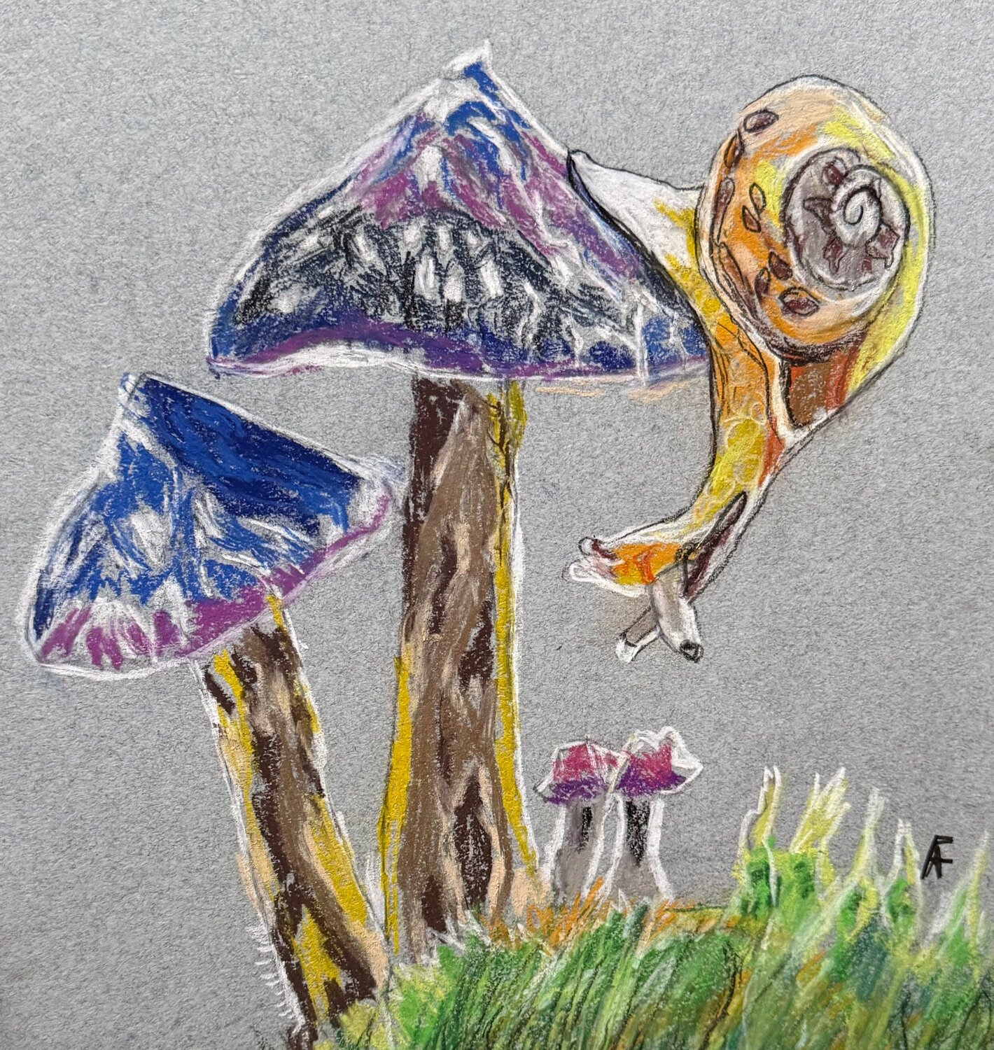 The Curiousity of Snails Alison Forsberg Werk auf Papier zu verkaufen