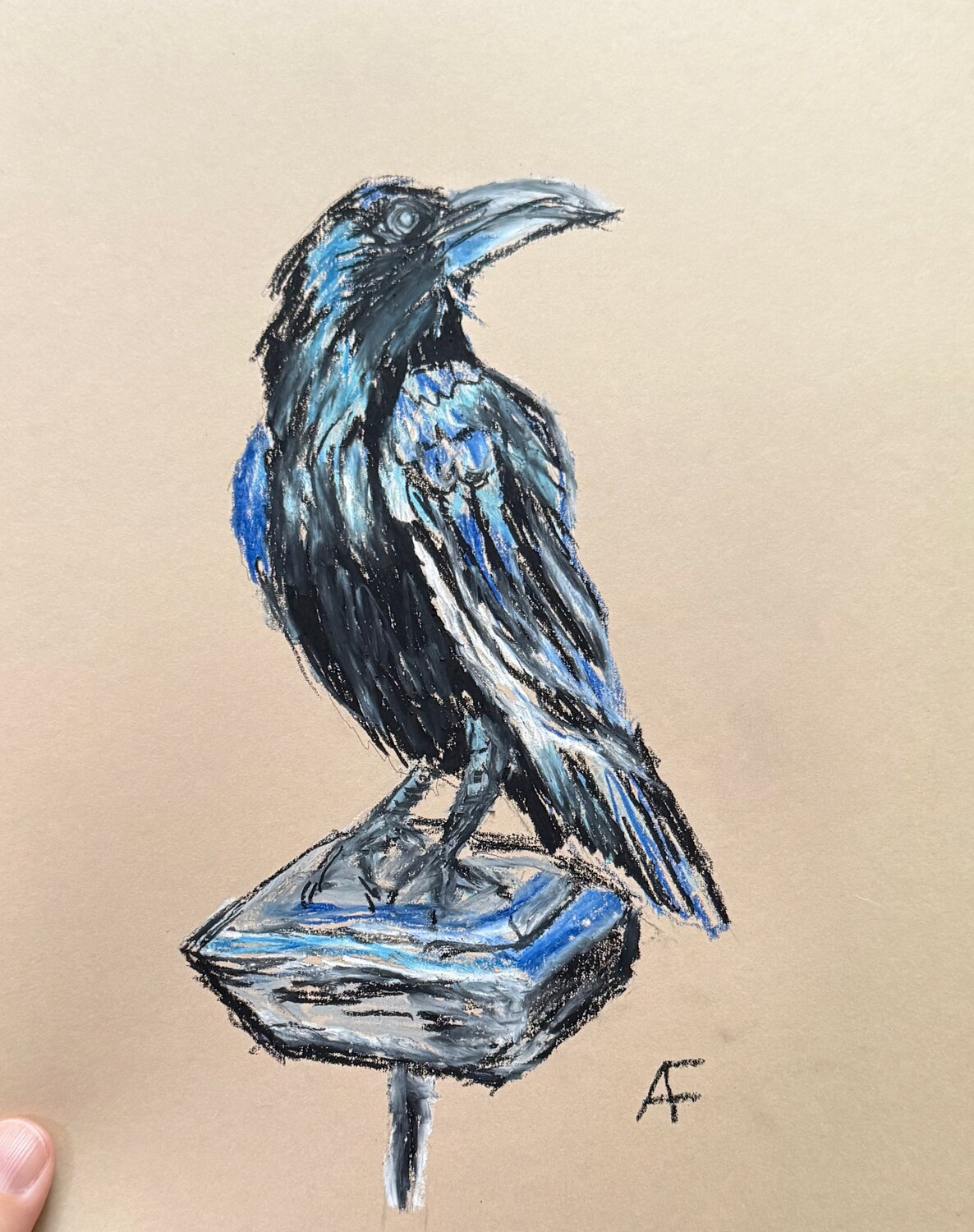 Raven Alison Forsberg