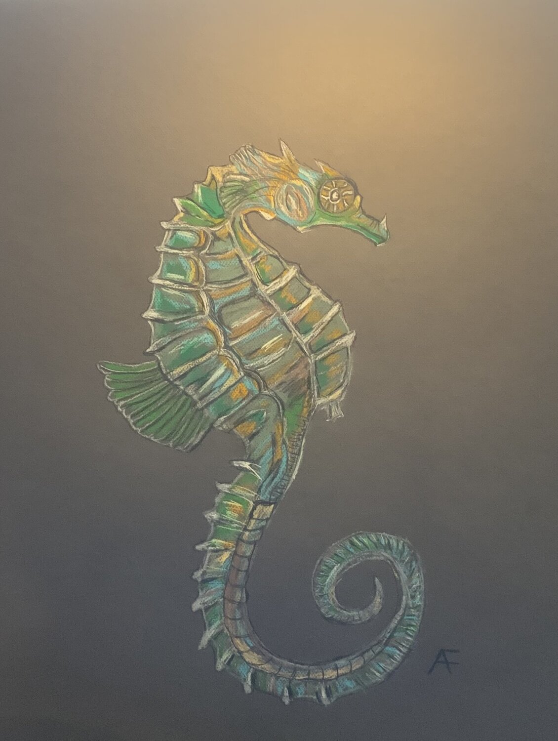 Seahorse Alison Forsberg