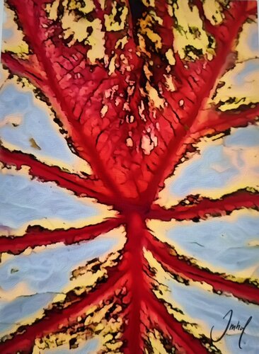 Roter Puls von Roman Imhof, Malerei kaufen auf Singulart