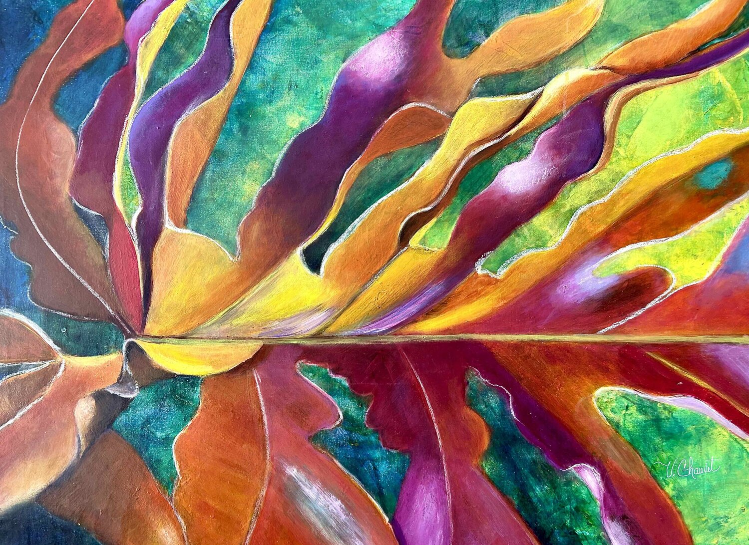 Capas de Luz Verónica Chauvet