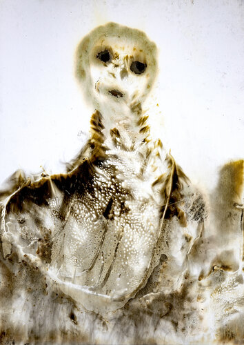 sono lo spirito di Monaldo Leopardi par sergio carlacchiani, Peinture en vente sur Singulart