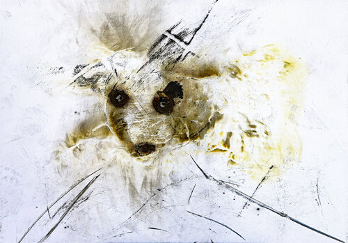 non sono umana di sergio carlacchiani, Pittura in vendita su Singulart