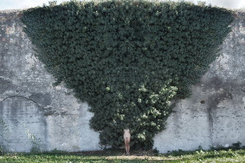 Resilienza2 von Federica Luciani, Fotografie kaufen auf Singulart