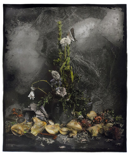 Fin van Paul Gadd, Fotografie te koop op Singulart