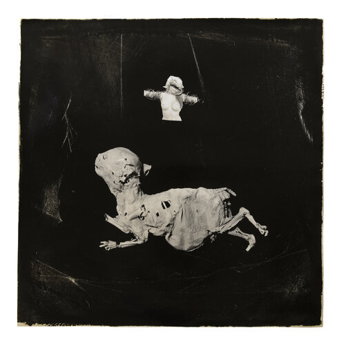 Torn van Paul Gadd, Fotografie te koop op Singulart