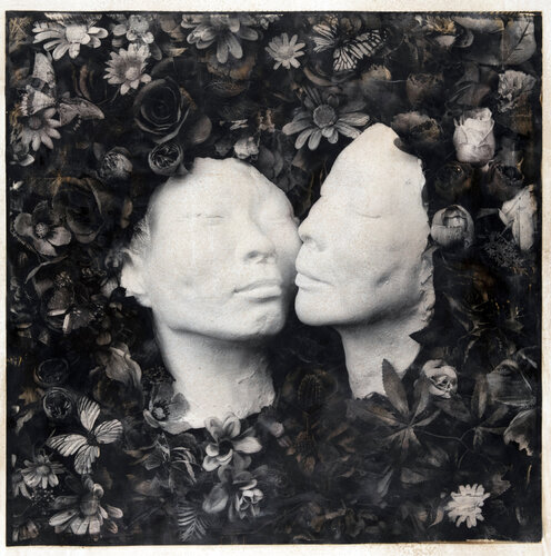 Narcissus gaze (1st edition) von Paul Gadd, Fotografie kaufen auf Singulart
