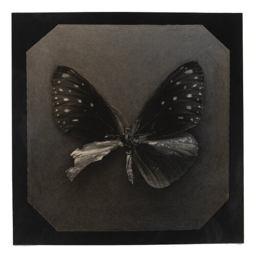 Ephemerality #14 Paul Gadd