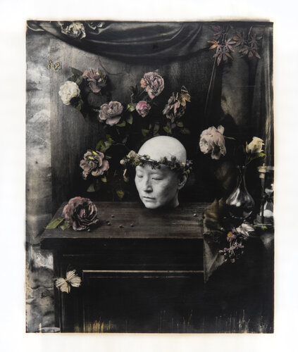 Vanitas #1 ( AP1 colour test) di Paul Gadd, Fotografia in vendita su Singulart