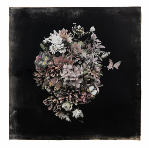 Anosmia #4 von Paul Gadd, Fotografie kaufen auf Singulart
