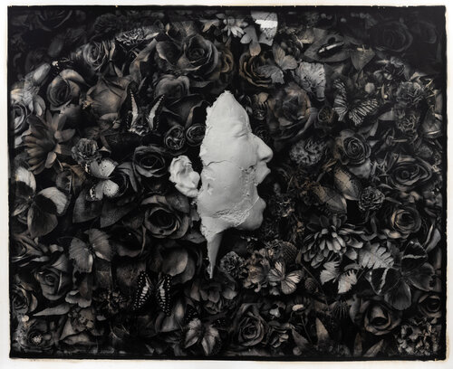 Paragon (1st edition) von Paul Gadd, Fotografie kaufen auf Singulart