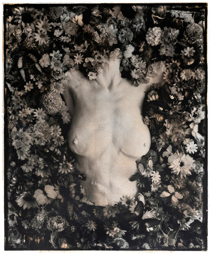 Torso (first edition) von Paul Gadd, Fotografie kaufen auf Singulart