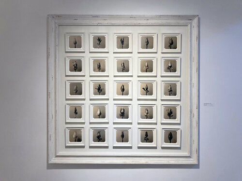 Going Bananas (Set 1) von Paul Gadd, Fotografie kaufen auf Singulart