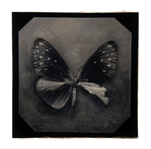 Ephemerality #14 by Paul Gadd, Photography for Sale on Singulart
