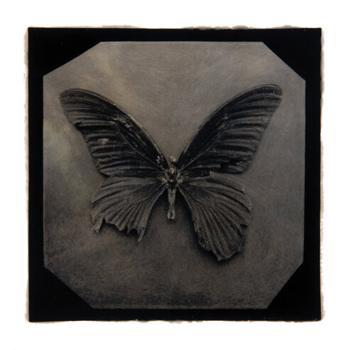 Ephemerality #9 Paul Gadd