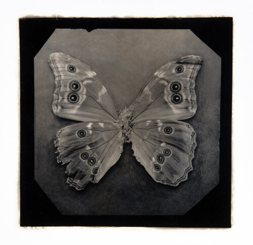 Ephemerality #56 Paul Gadd