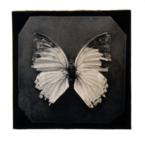Ephemerality #3 di Paul Gadd, Fotografia in vendita su Singulart