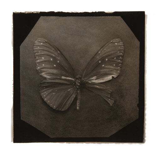 Ephemerality #13 di Paul Gadd, Fotografia in vendita su Singulart