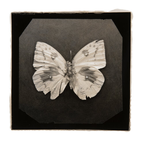 Ephemerality #52 Paul Gadd