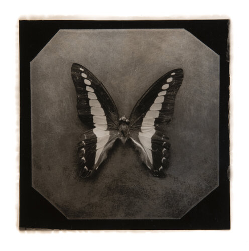 Ephemerality #1 Paul Gadd