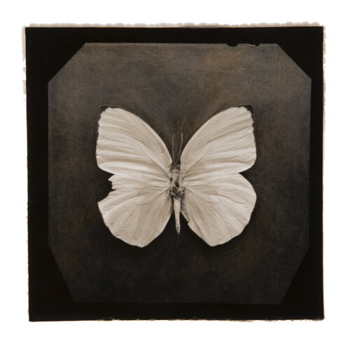 Ephemerality #21 di Paul Gadd, Fotografia in vendita su Singulart