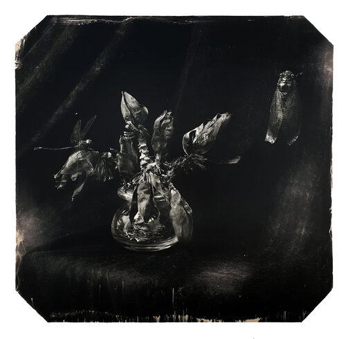 Surfacing (first edition) Paul Gadd