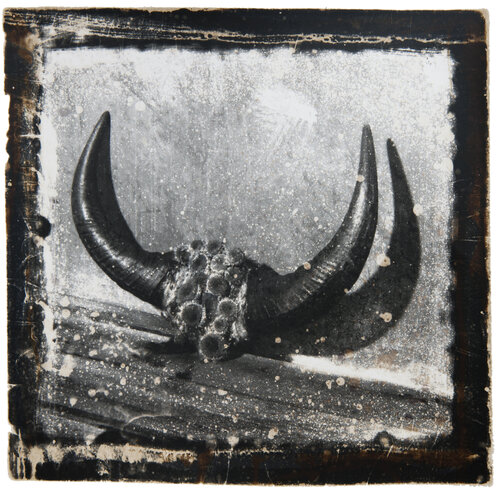 Effigy van Paul Gadd, Fotografie te koop op Singulart