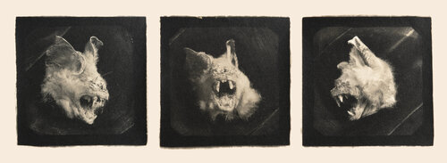 Head of the messenger von Paul Gadd, Fotografie kaufen auf Singulart