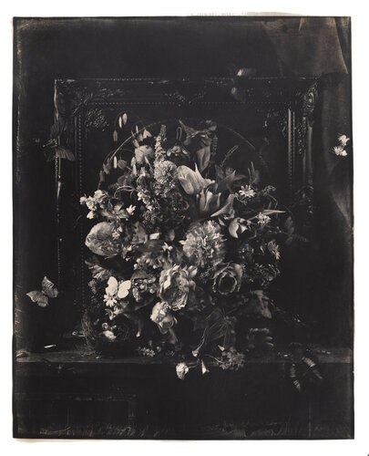 Still life #2 - Birth of Viivi (1st edition) di Paul Gadd, Fotografia in vendita su Singulart