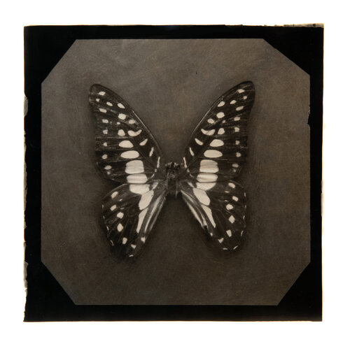 Ephemerality #5 Paul Gadd