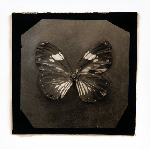 Ephemerality #61 Paul Gadd
