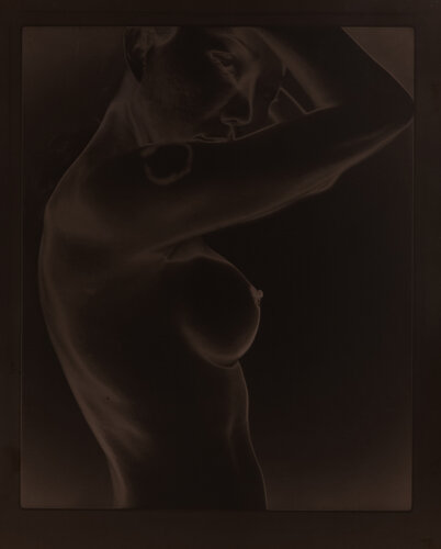 Untitled (Toned Sabattier print) von Paul Gadd, Fotografie kaufen auf Singulart