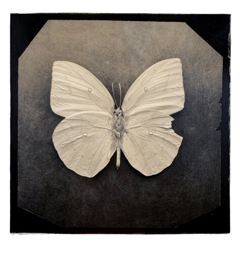 Ephemerality #22 di Paul Gadd, Fotografia in vendita su Singulart