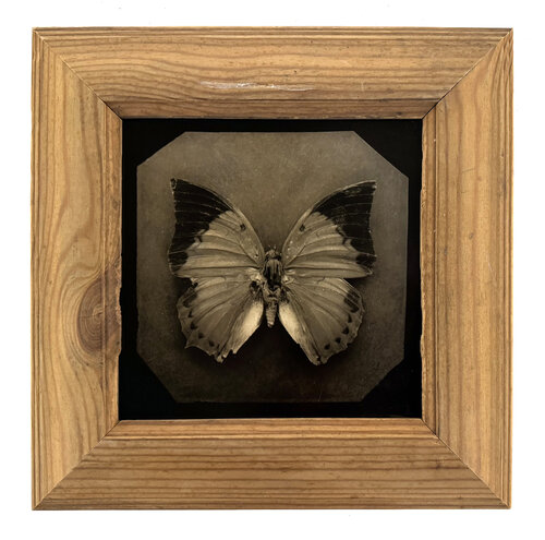Ephemerality #31 by Paul Gadd, Photography for Sale on Singulart