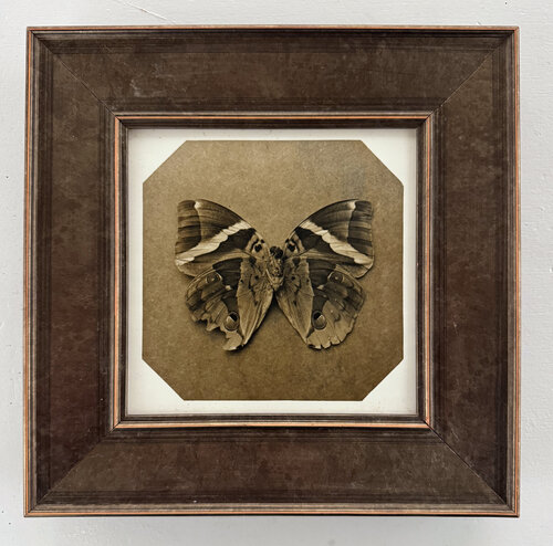 Ephemerality #102 by Paul Gadd, 사진 for Sale on Singulart